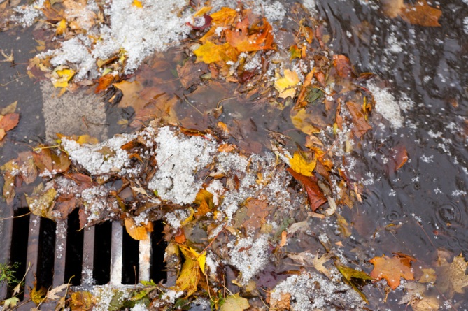 stormwater leaves drain