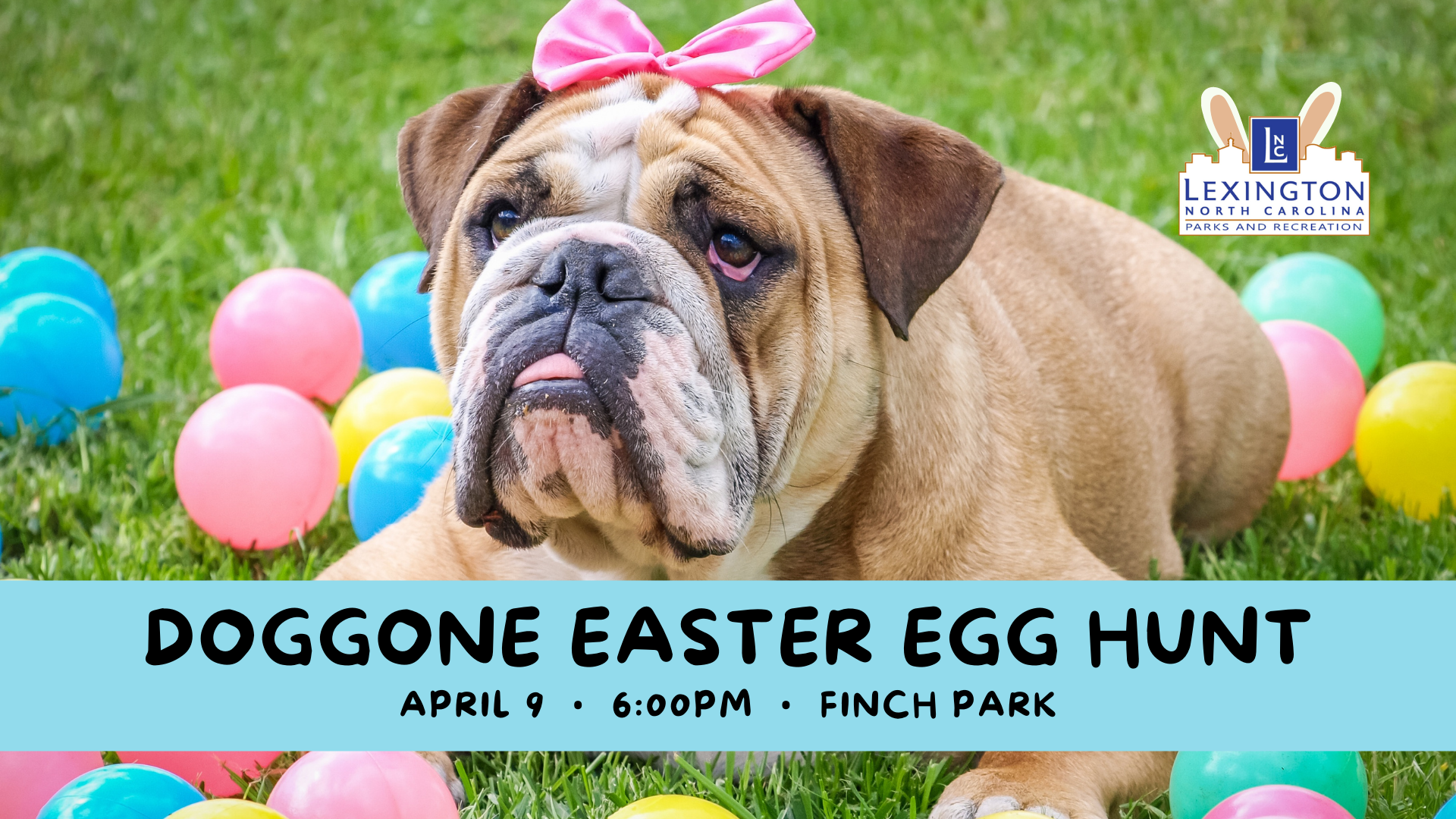 Doggone Egg Hunt