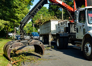 Knuckleboom removing brush